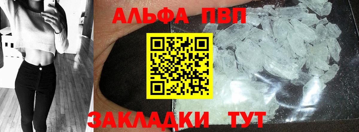 Альфа ПВП СК Балтийск
