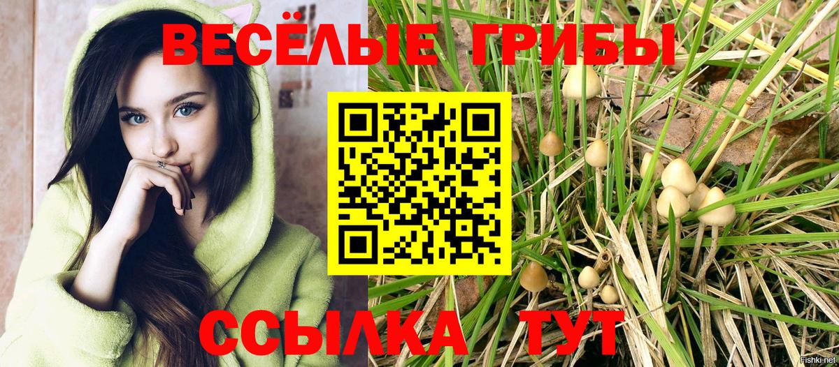Галлюциногенные грибы Cubensis  Галлюциногенные грибы Psilocybine cubensis  Балтийск  Вход с VPN 